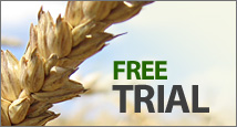 Free Trial